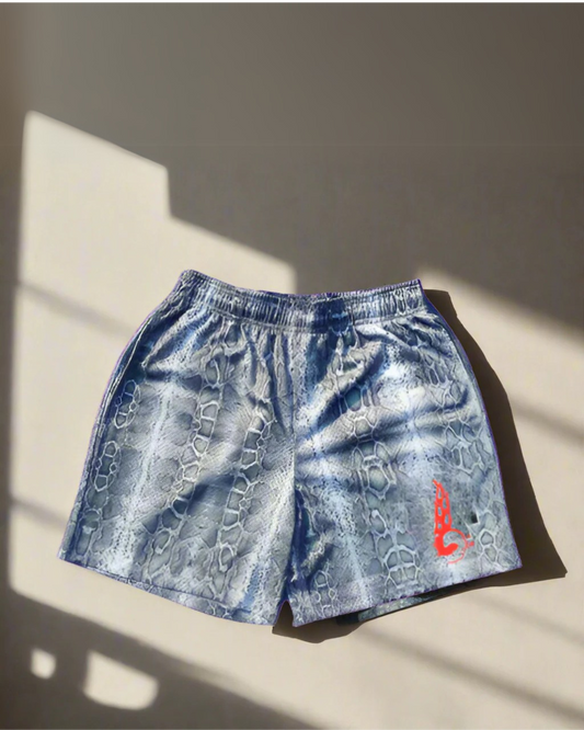 EARBOX SHORTS V1.0